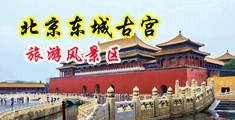 免费看凥屁中国北京-东城古宫旅游风景区